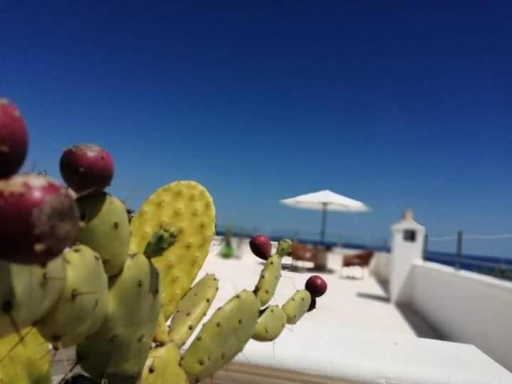 Marina Βίλα Marittima Εξωτερικό φωτογραφία