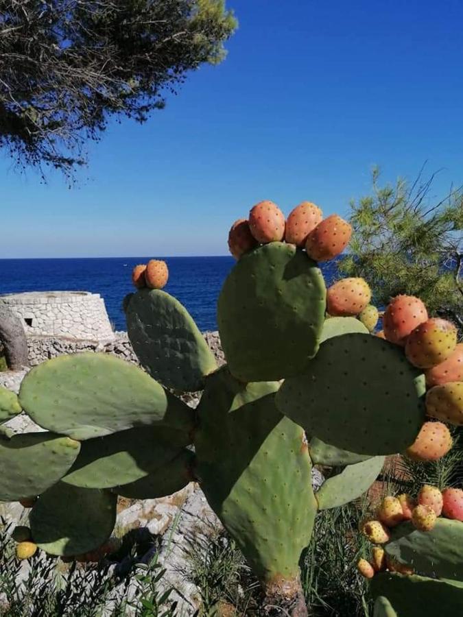 Marina Βίλα Marittima Εξωτερικό φωτογραφία