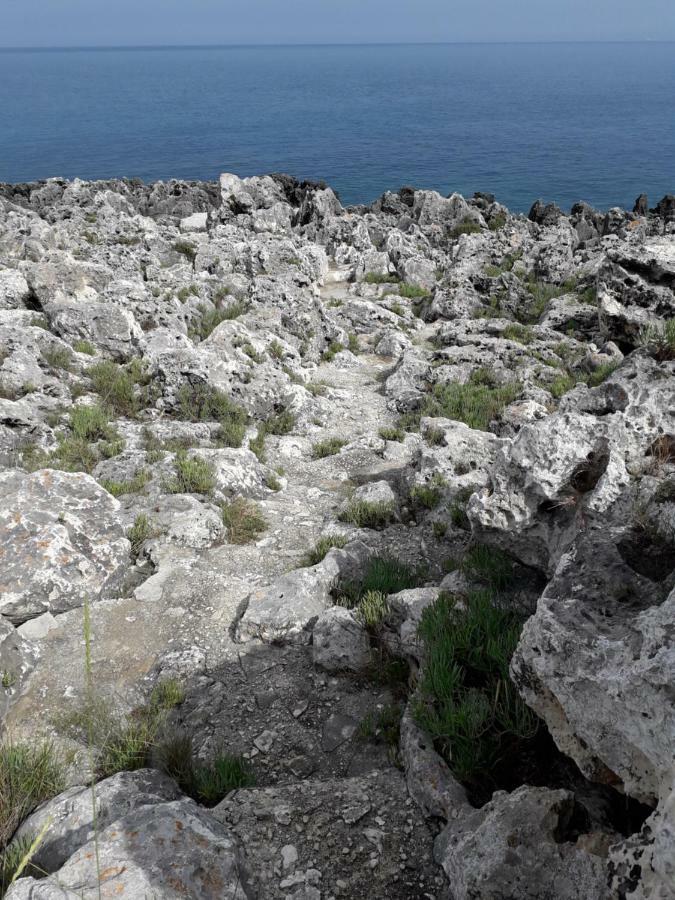 Marina Βίλα Marittima Εξωτερικό φωτογραφία